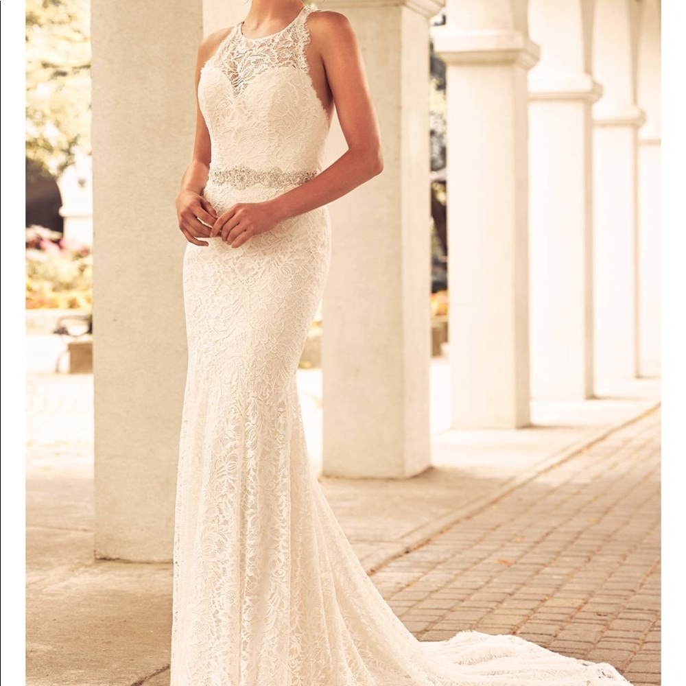 Paloma Blanca - #4795